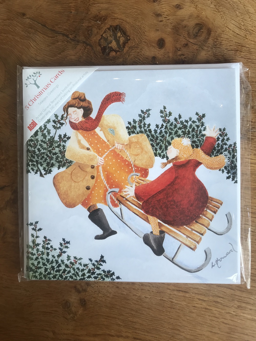 Fun in the Snow - Multipack of 15 Christmas cards